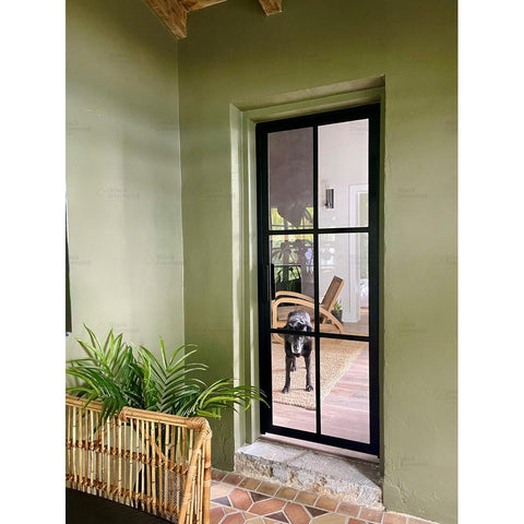 Light 6 Single (Interior)-Interior Steel Doors-Black Diamond Iron Doors